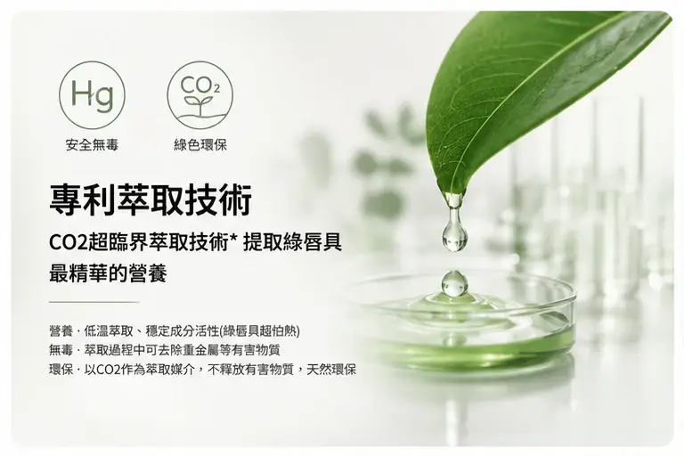 狗狗關節保健與日常營養補充情境