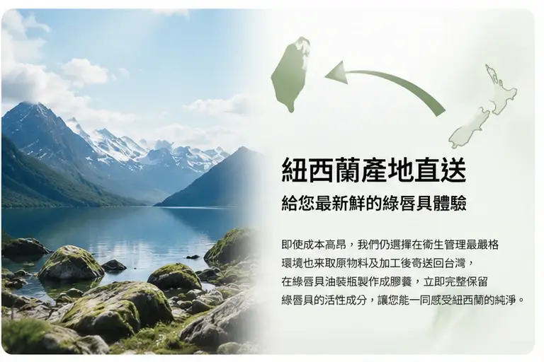 高齡犬貓活動力與關節照護情境