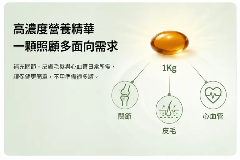 貓咪狗狗皮膚毛髮與健康保養情境